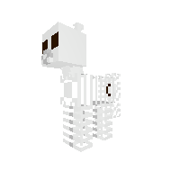 Skeleton