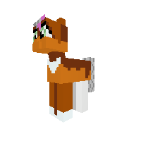 New Pony