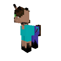 Ender Steve