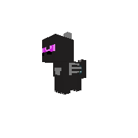 baby ender dragon pony
