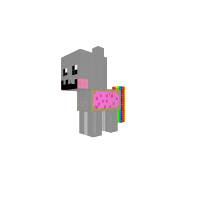 nyan kot