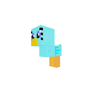 duck
