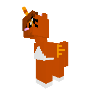 New Pony