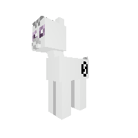 New Pony