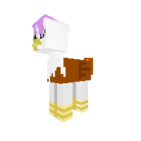 New Pony