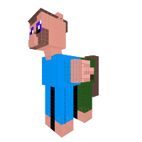 Steve