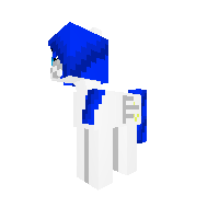 New Pony