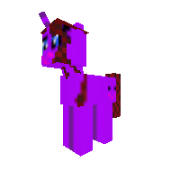 girl  Pony