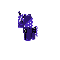 New Pony