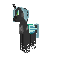 New Pony