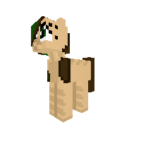 Saffie the forest pony