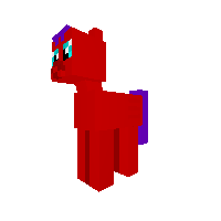 New Pony
