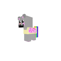Nayn kitty