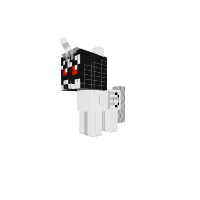 New Pony