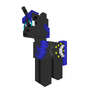 New Pony