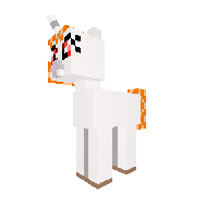 DTrace  pony