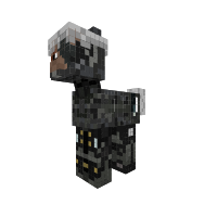 Raiden Pony