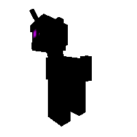 Ender pony