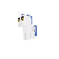 boy pony