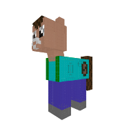 Steve the pony
