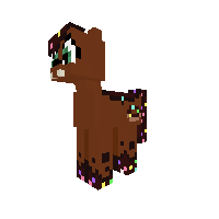 Coco Doughnut