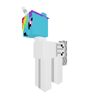 New Pony