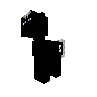 Enderman Pony