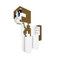New Pony