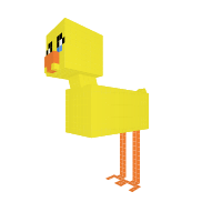 Duck