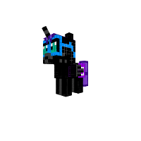 New Pony