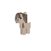 Boar