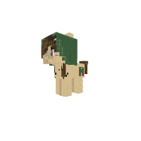 steve pony
