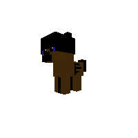 Arfers