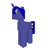 New Pony