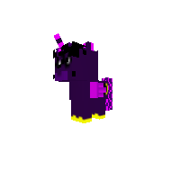 New Pony