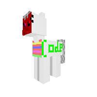 code pony