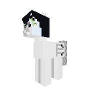 New Pony
