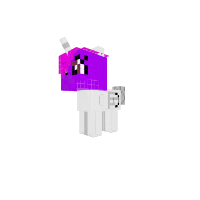 New Pony