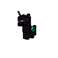 New Pony