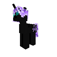 New Pony