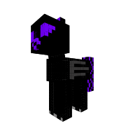 Cheval ender dragon