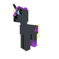 New Pony