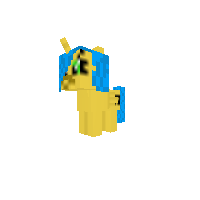 New Pony