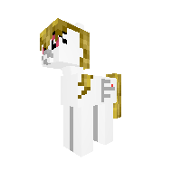 Med Pony with no name