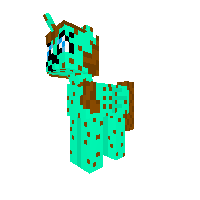 New Pony