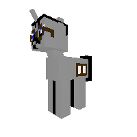 New Pony