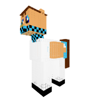 New Ponyminecraft boy