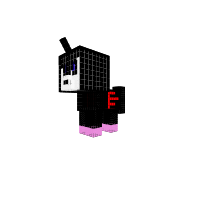 ???pony
