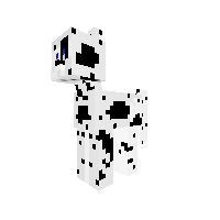 Dalmation