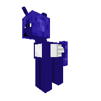 pony of the night
